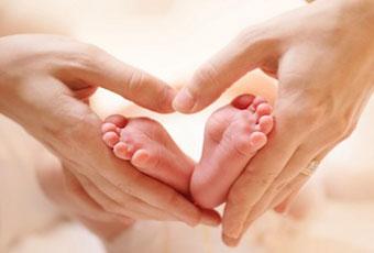 Palatine family law attorney, adoption and paternity