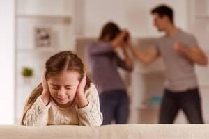 Schaumburg family law attorney, domestic violence, divorce process, protective orders, parenting time